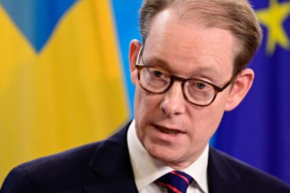 Swedish Foreign Minister Tobias Billstrom
