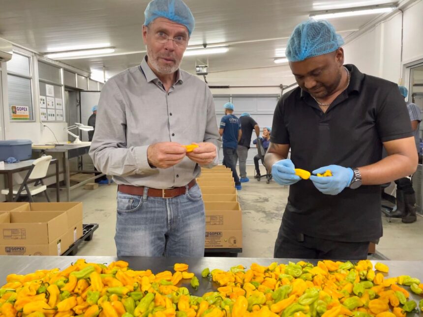 Photo: Nederlandse ambassade in Suriname