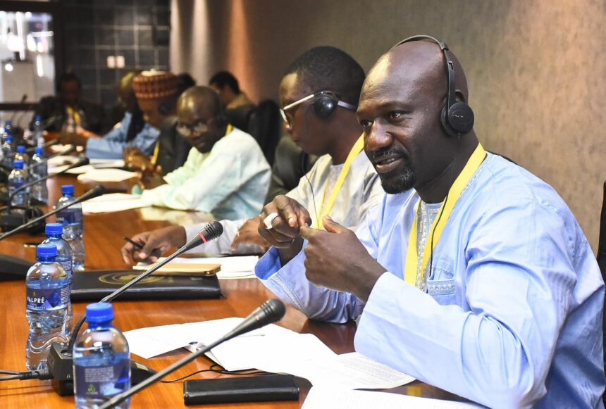 PAP Youth Caucus to strengthen the role of youth in African legislature. Photo: Pan African Parliament