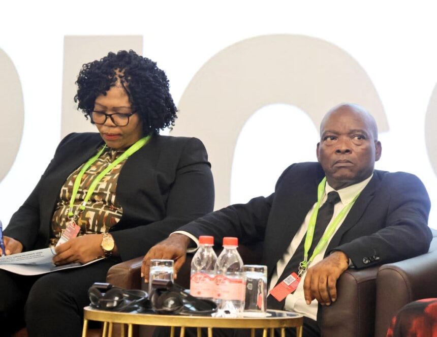 Minister Moses Vilakati and Botswana Minister of Environment and Tourism Philda Nani Kereng follow proceedings during the Tourism Dialogue in Durban, South Africa.
