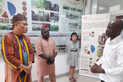 Consul General Roderico Atienza and Science, Culture, and Arts Officer Sam Adebole of the Philippine Consulate LAGOS, accompanied by IITA's People & Culture Head Lilian Mendoza and Head of Communication Katherine Lopez. Photo: Philippine Consulate Lagos