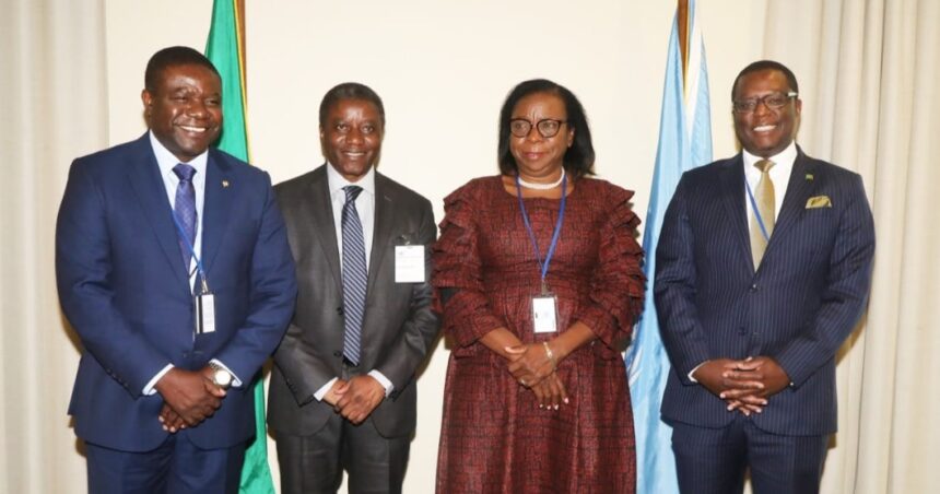 Zambia's Permanent Representative to the United Nations, Dr Chola Milambo. Photo: Permanent Mission of the Republic of Zambia to the United Nations