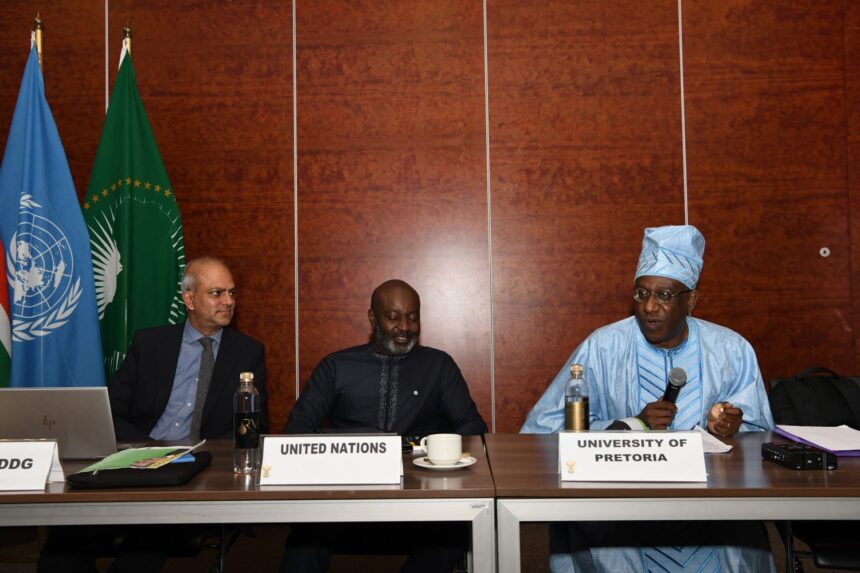 Mr Zaheer Laher, Acting Deputy Director-General: Global Governance and Continental Agenda at South Africa's Department of International Relations and Cooperation, Pretoria, as the discussant; and Dr Ayodele Odusola, Resident Representative of United Nations Development Programme (UNDP) in South Africa, as the chair. Professor Adekeye Adebajo, a Senior Research Fellow at the CAS. Photos: DIRCO SA