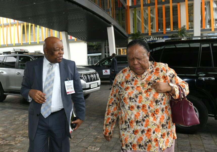 South African Minister of International Relations and Cooperation, Dr Naledi Pandor