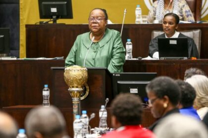 Minister of International Relations and Cooperation Naledi Pandor has called for the International Criminal Court to act against top officials in Israel. Picture: Leon Lestrade/Independent Newspapers