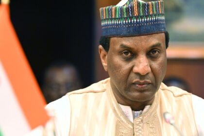 Niger's Prime Minister, Ali Mahaman Lamine Zeine