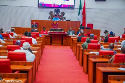 Nigerian Senate. Photo: Tope Brown