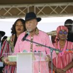 President Dr. Nangolo Mbumba. Photo: Namibian Presidency