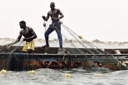 Senegalese fishermen pull their fishing nets out of the water in Joal-Fadiouth, south-east of the capital Dakar. © AFP - SEYLLOU