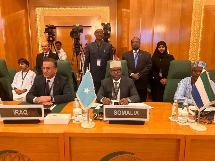Somalia's Minister of Foreign Affairs and International Cooperation, H.E. Ahmed Maalam Faqi Ahmed participates in the OIC meeting. Photo: MoFA Somalia