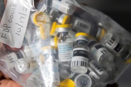 Vials of single doses of the Jynneos vaccine for mpox are seen at a vaccinations site on Aug. 29, 2022, in the Brooklyn borough of New York. Photo: AP