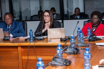 Yango pushes for policy support to boost Africa's fast-growing e-hailing industry.