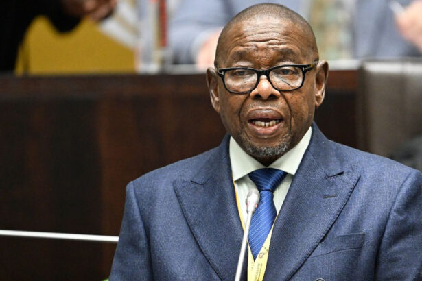 Dr Blade Nzimande, Minister of Science, Technology and Innovation