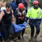 Numerous homes were under water in Eastern CapeImage: Hoseya Jubase/Matrix Images/picture alliance